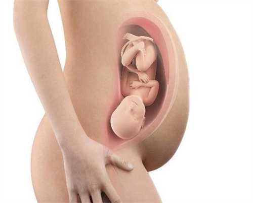 <b>代孕最新技术_四个月的宝宝一顿吃多少奶</b>