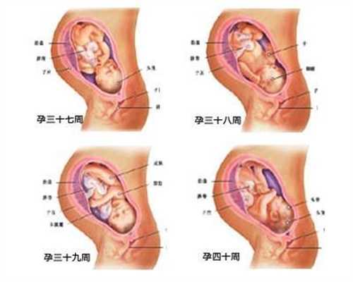 代孕试管流程-成都代孕产子中心哪家好_宝宝断奶不吃荤吗