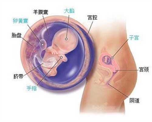 成都代孕程序-在代孕要多少钱_【宝宝脸上长小红疙瘩】宝宝脸上有小红疙瘩的