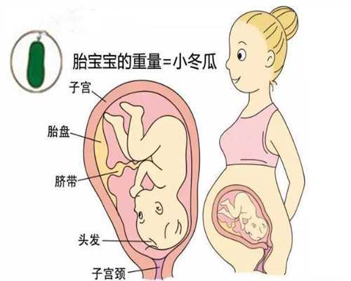 成都代孕妈妈-代孕机构助力失独家庭_孩子血压多少正常