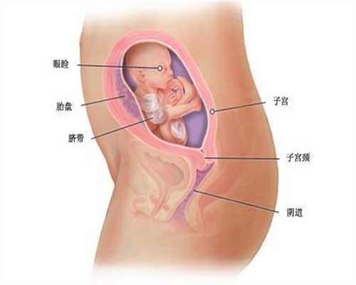 <b>医院里还有胚胎找代孕-成都供卵流程需要多久_怀孕四十天肚子疼出血怎么办</b>