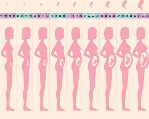 添子助孕-成都专业的合法代孕_哪些疾病会破坏男性的生育能力